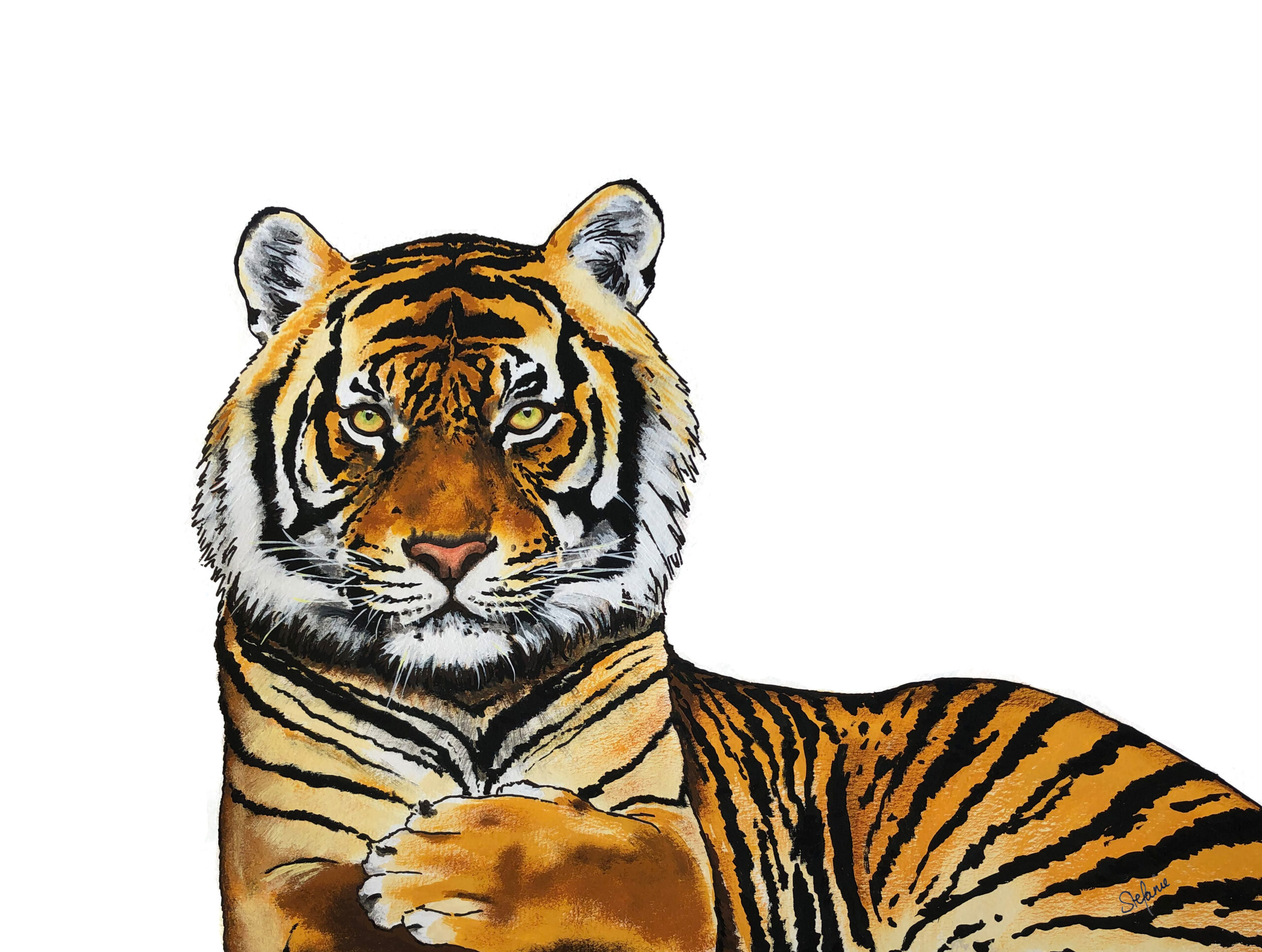 Målning i färg av en tiger som är realistiskt avbildad.