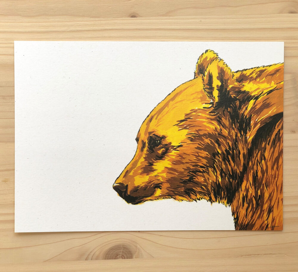 vykort med realistisk illustration av björn med huvud i profil
