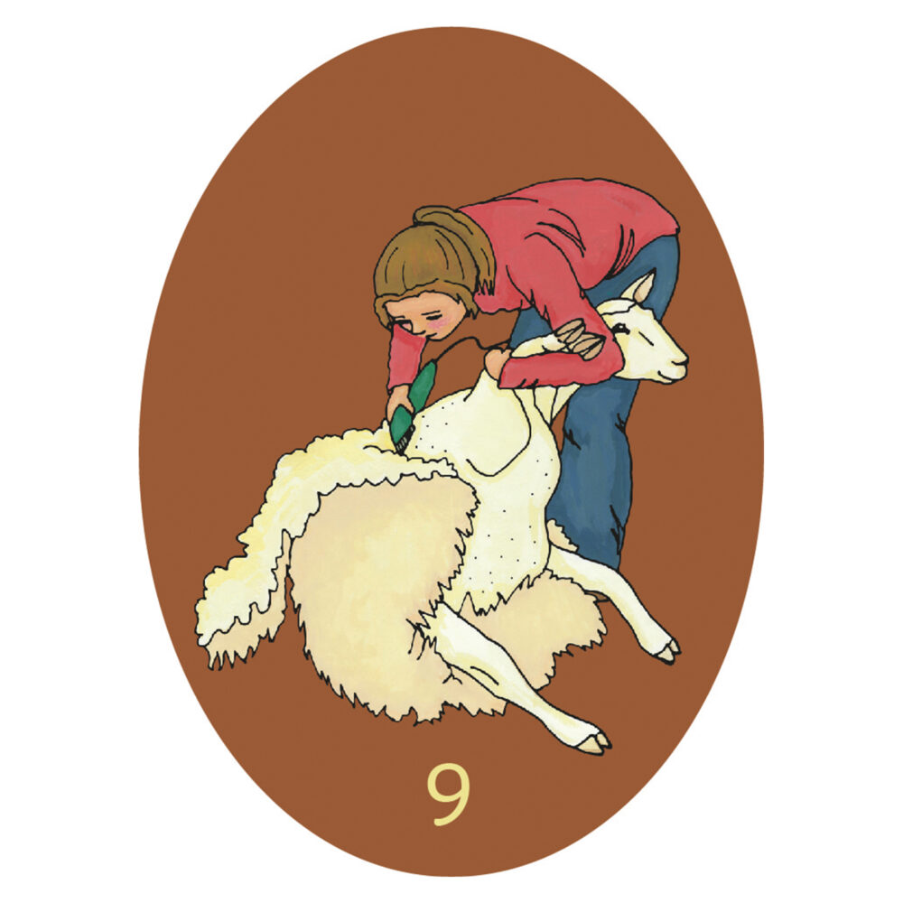 målning av en kvinna som håller på med att raka ett får.