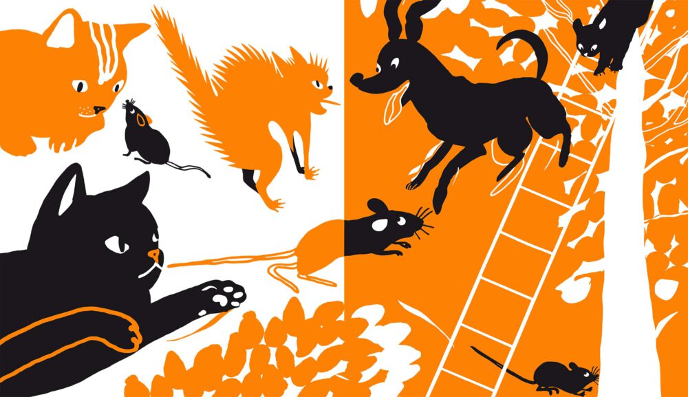 Yoga saga ur barnboken Yoga med barn i grafiskt svart och orange. Katten jagar musen och hunden vill leka med arga katten. Katten i trädet.
