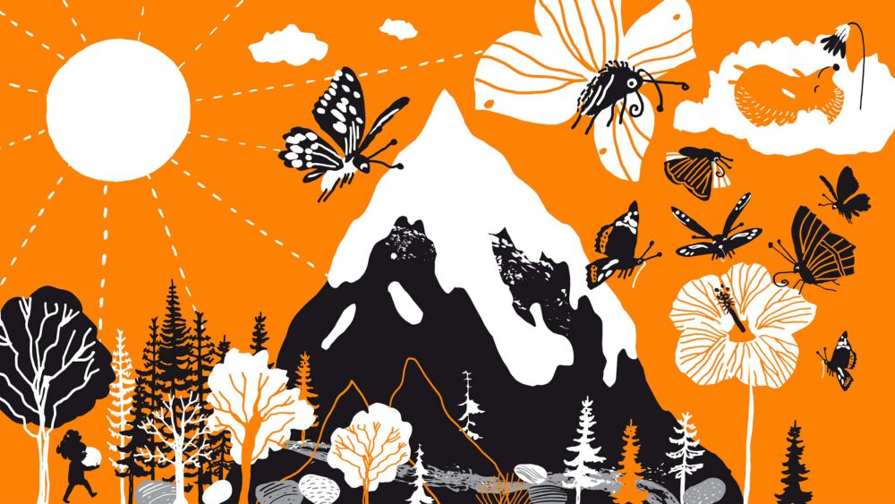 Yoga skogen en saga på ett uppslag ur barnboken Yoga med barn i grafiskt svart och orange. Träd, bäck, fjärilar, igelkott, berg och blommor finns i bilden.