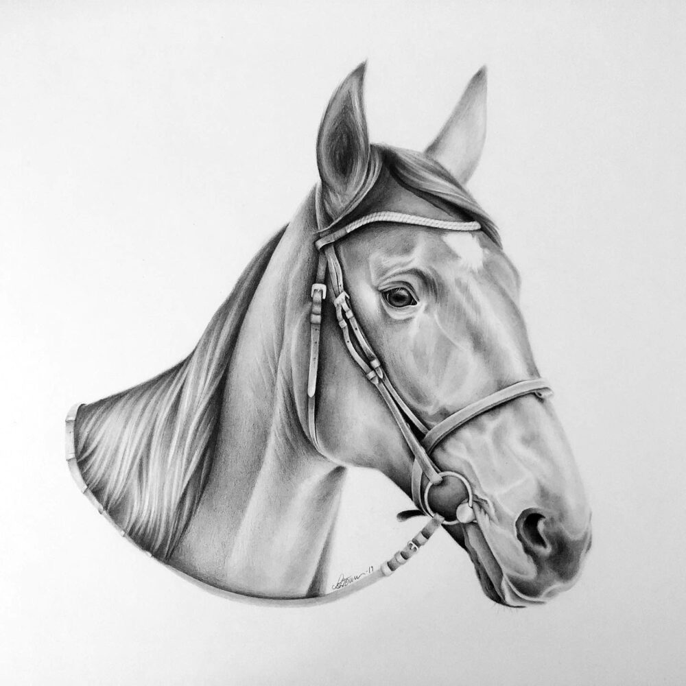 porträtt på häst i blyerts