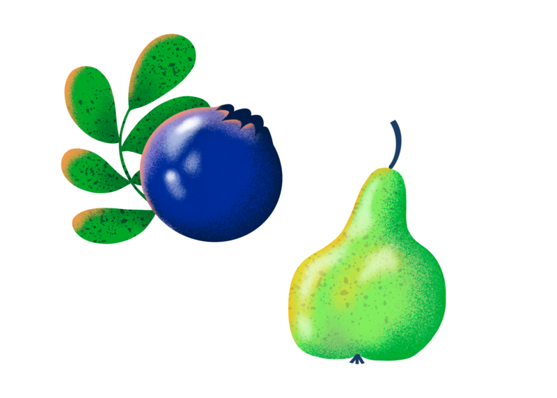 Blåbär med blåbärstkvist och ett päron med vit bakgrund