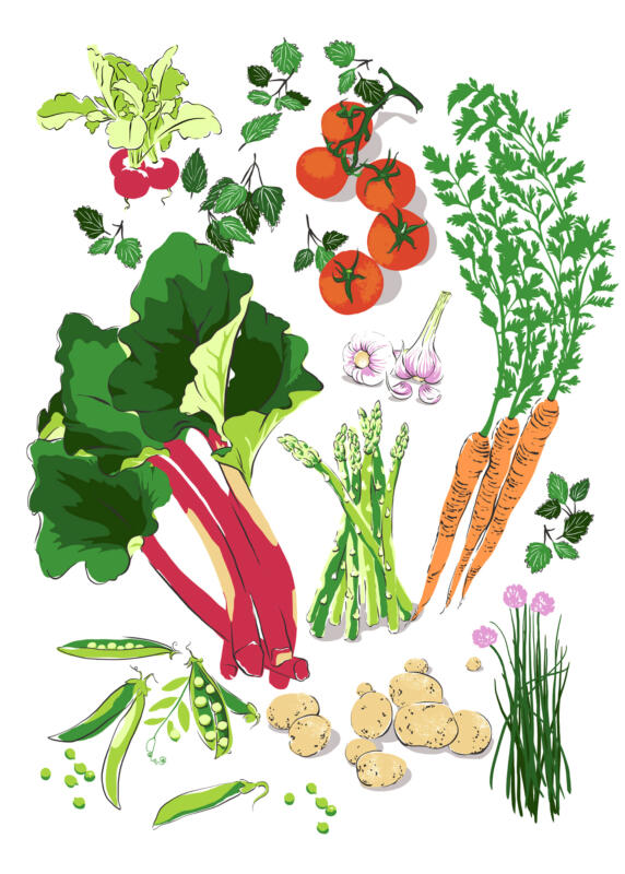 Färgglada illustrationer av grönsaker.