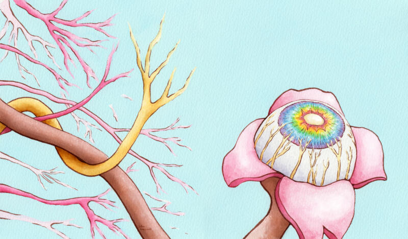 Illustration av ett öga i form av en blomma med mångfärgad regnbågshinna och flera nerver