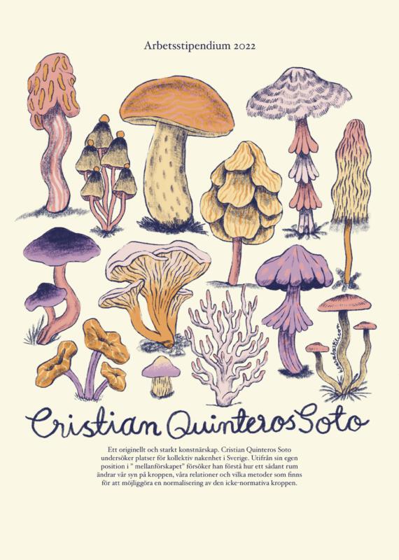 Illustration av svampar i många färger