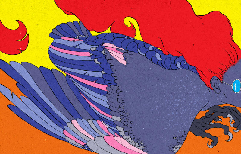 Illustration i heluppslag till tidsskriften Expos temanummer Batikhäxor. En rödhårig harpyja med runda glasögon flyger i närbild över en orange och gul himmel.