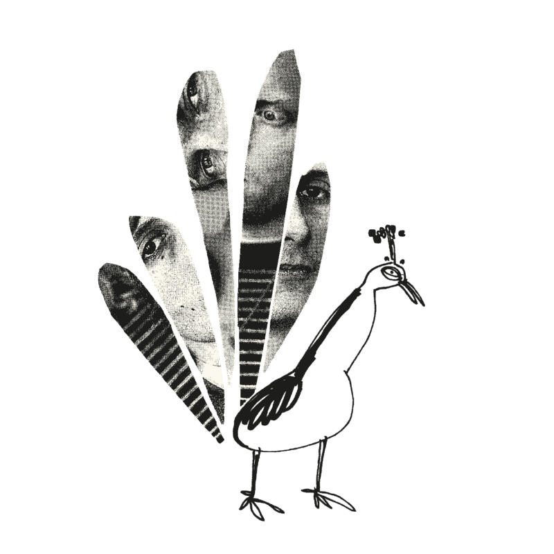 Illustration av påfågel i collageteknik.