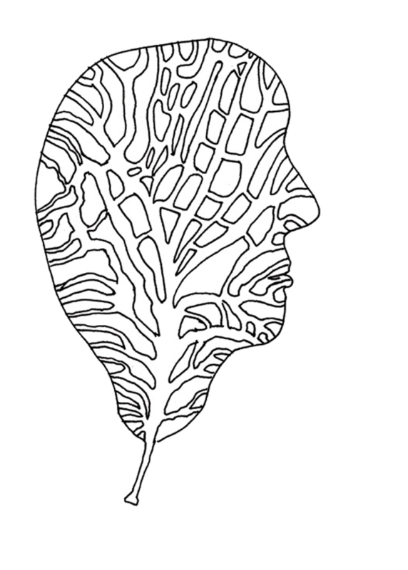 En tusch tekning av ett löv som är i formen av siluetten av ett andsikte. 