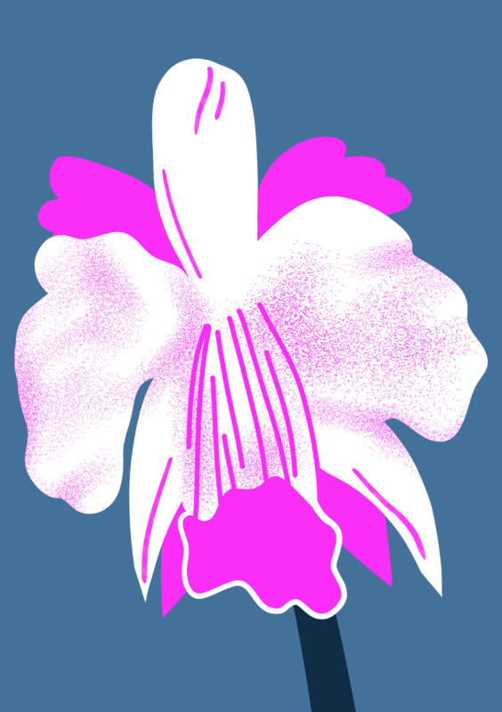 Digital illustration av blomma i blått och rosa