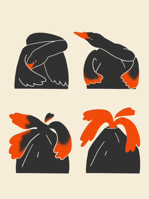 Illustration på svart svan som förvandlas till en vulkan