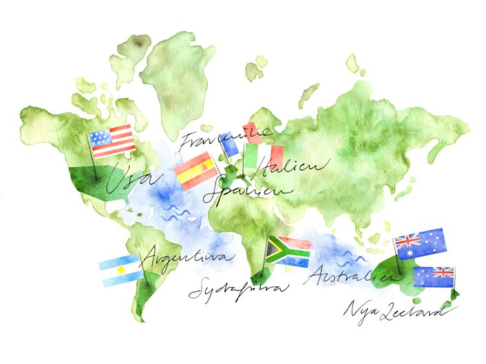 Världskarta med flaggor och vinregioner