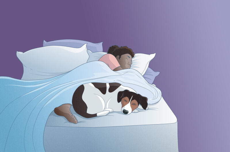 Illustration för bloggartikel - Kvinna och hund som sover i samma säng