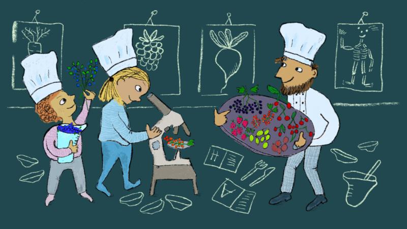Två barn och en vuxen man undersöker färgglada bär i köket med mikroskop och genom matlagning.
