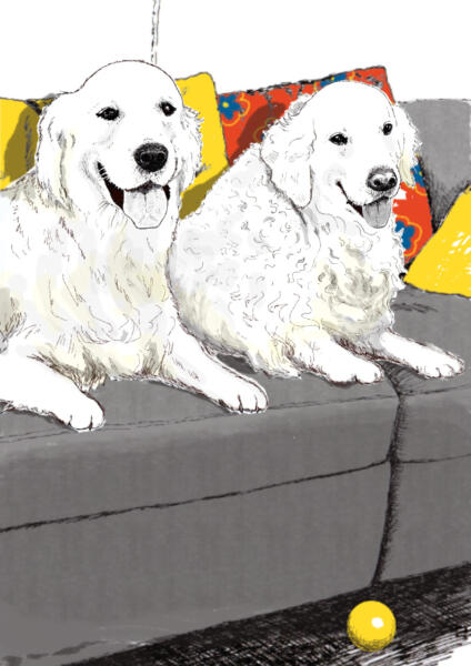Två hundar, golden retrievers, ligger på en soffa med kuddar.