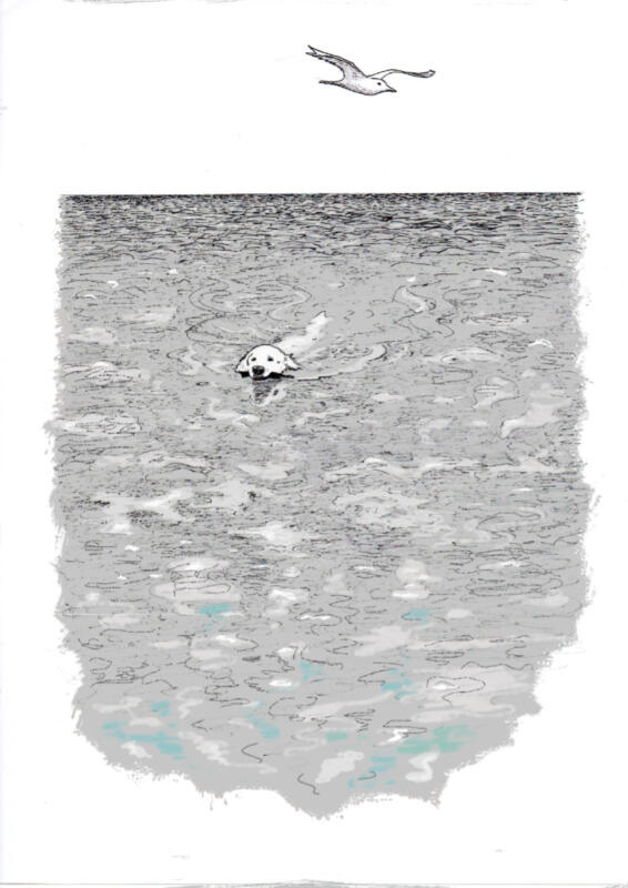 Hund simmar i havet.