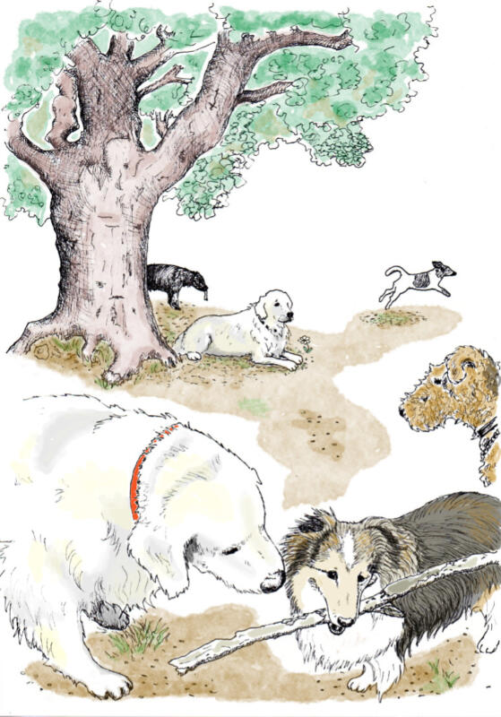 Hundar står, springer, leker och ligger ner i en hundrastgård vid ett träd.