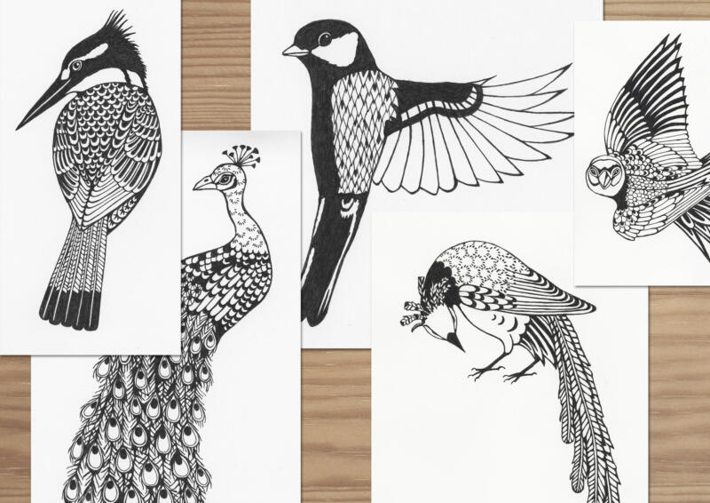 Skisser av fåglar till alfabetet "Ornis"