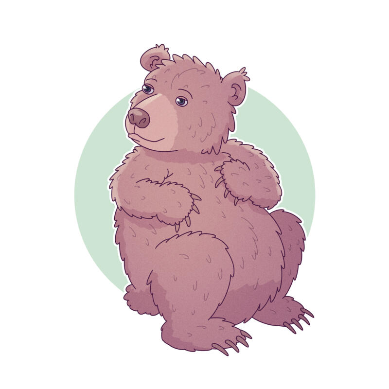 Cute bear