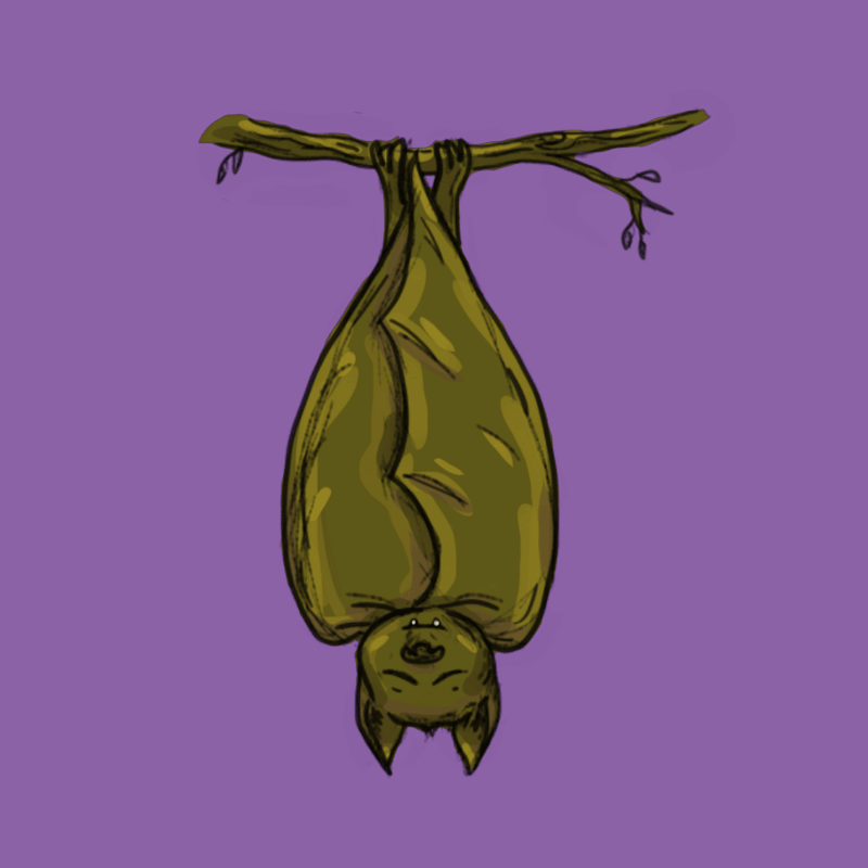 En digital illustration föreställande en brungrön fladdermus som hänger upp och ner i en gren med lila bakgrund. Fladdermusen sover men blir störd och vaknar och öppnar ett öga för att blänga på det som stör.