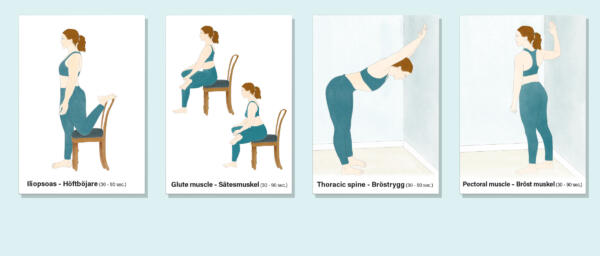 träningskort som visar olika stretchövningar