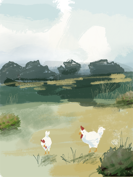 Chickens in the field