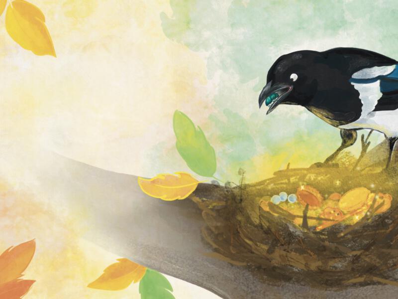 magpie illustration, treasure