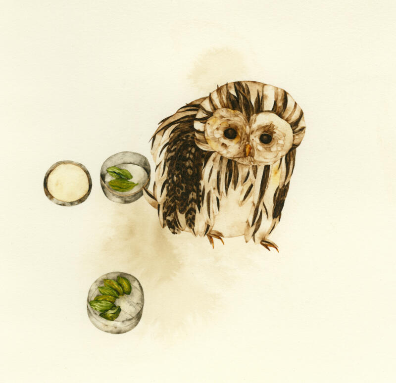 Illustration av en uggla och en burk med fröer i.
