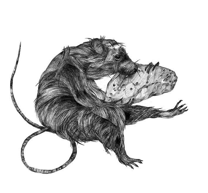Svartvit bokillustration av råttan Tvären som gnager på en ost.