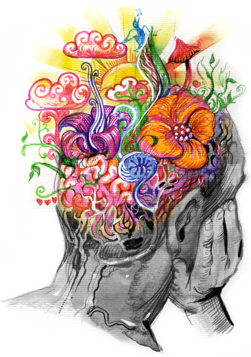 Teckning som visar ett huvud bakifrån, fyllt av fantasiblommor, fåglar, svampar och hjärna. Illustrationen visar hur hjärnan påverkas när vi blir kära.
