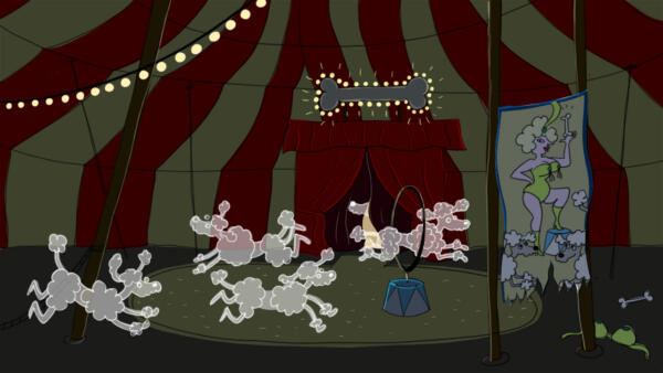poodle circus