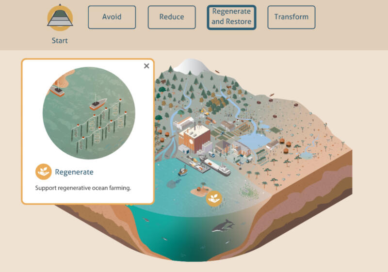 Interactive infographic about sustainability actions for companies