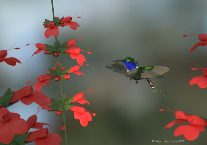Realistic 3d model of a hummingbird in its habitat