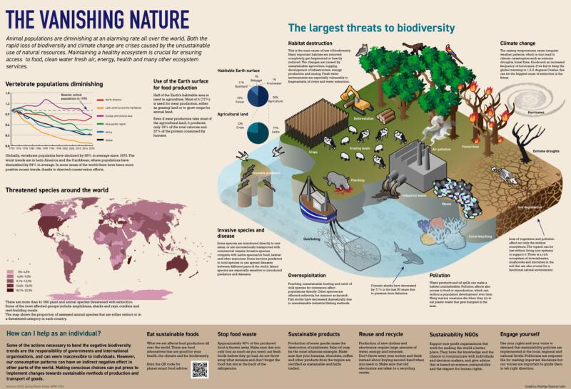 Infographic about sustainability and biological diversity