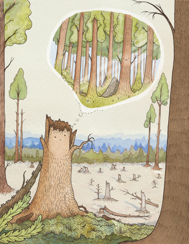 Illustration av ett träd på ett kalhygge som drömmer sig bort