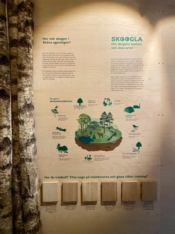 Foto från utställningen, skogens ekosystemtjänster. Utställningen Skoogla på Fulltofta naturcentrum.