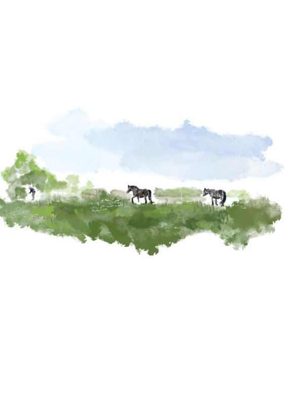 akvarell föreställande hästar i en hage av Agnes Turesson