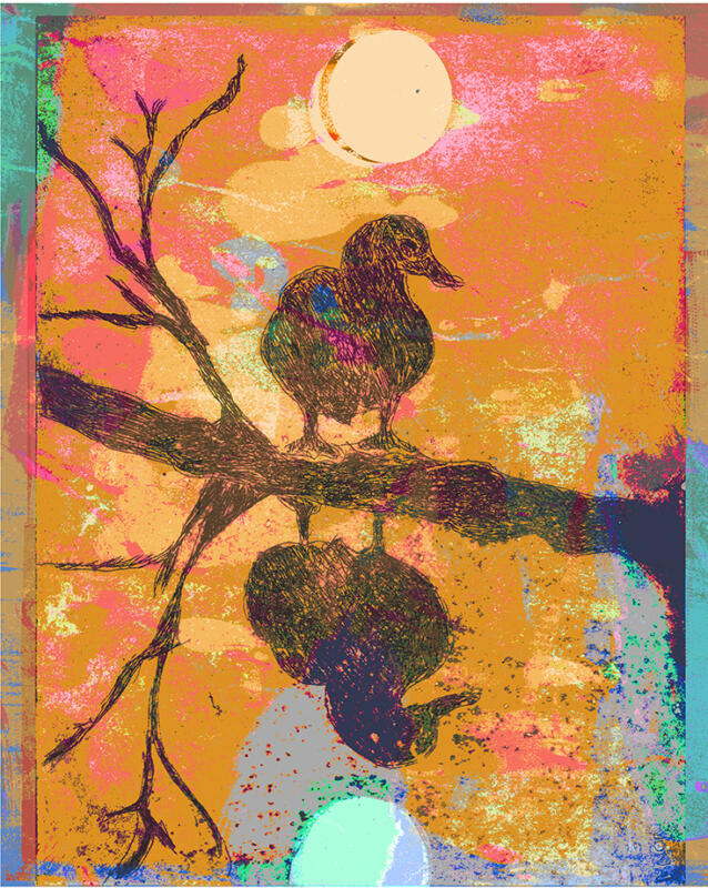 Duck and it's reflection, copper etching, screen print, collage, digital, Mixed Media Print, Fine Art Print, brainstorming process for graphic  pattern ideas. 13 cm x 16 cm