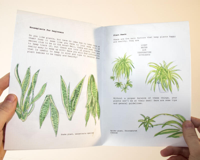 fan zine plant care pages 1 and 2