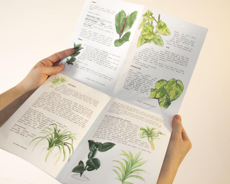 fan zine plant care pages 3-6