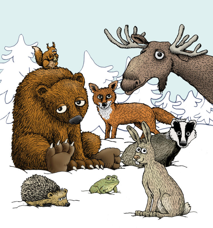 djur, björn, älg, hare, igelkott, groda, grävling, räv, ekorre, vinter