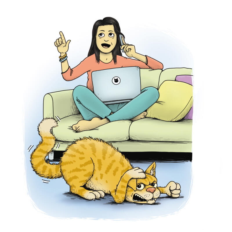 katt, matte, mobiltelefon, dator, soffa, vardagsrum