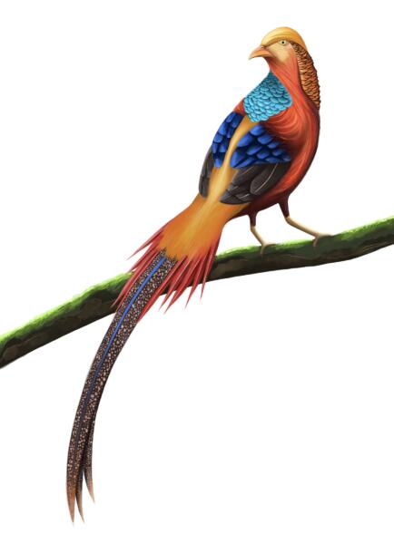 Färgglad digital illustration av en guldfasan som sitter på en trädgren