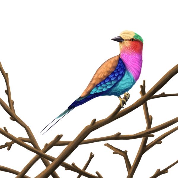 Färgglad digital illustration föreställande en fågel som sitter på grenar