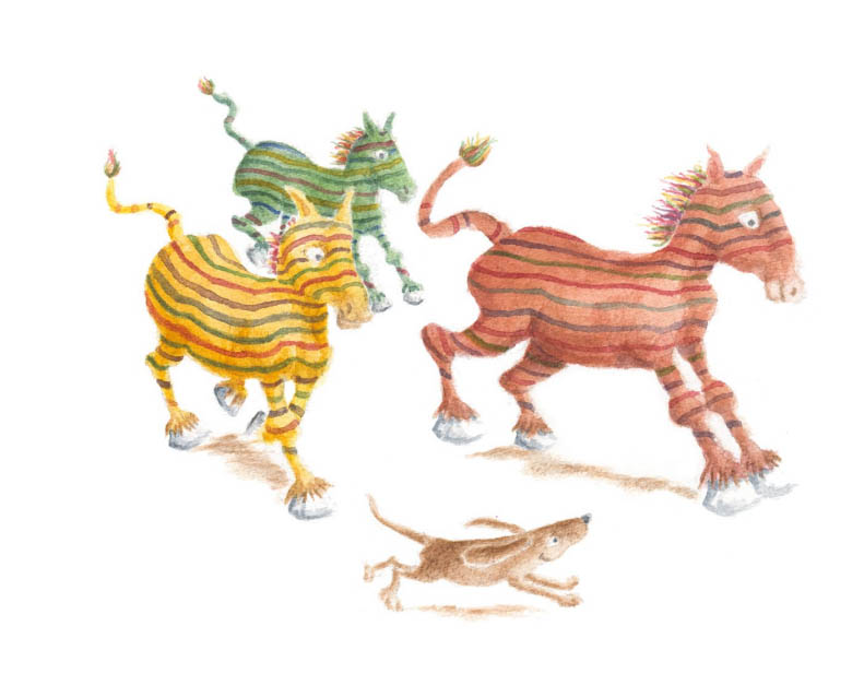 En flock randiga hästar som springer tillsammans med hunden Sally