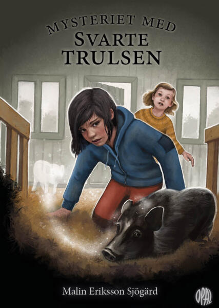 Omslagsbild av barnboken Mysteriet med Svarte Trulsen