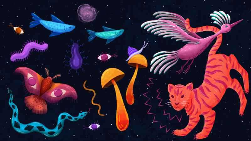illustration om mångfald, med färgglada djur i rymden, fjäril, orm, insekter, svampar, tigrar, sniglar, fiskar, fåglar, mikroorganismer.