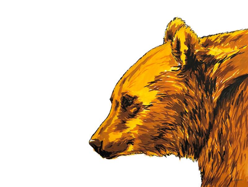 Färgmålning av en björns huvud i sidovy.