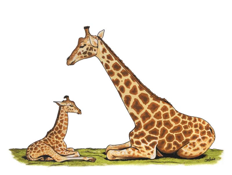 TRealistiskt målning i färg av en mamma giraffe med sin unge sittande emot varandra.