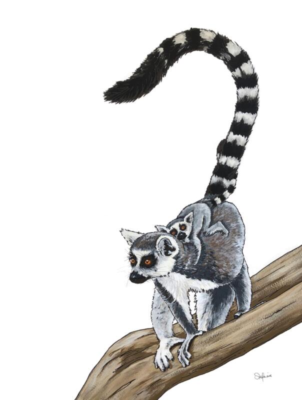 Realistiskt målning av en catta (apa) med en unge på ryggen.